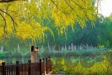 旧版足球比分网-重温旧时光，旧版足球比分网的情怀与记忆